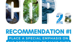 COP28 – Climate Action Must Contribute to Poverty Eradication