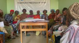 Entrepreneurship in the Democratic Republic of the Congo